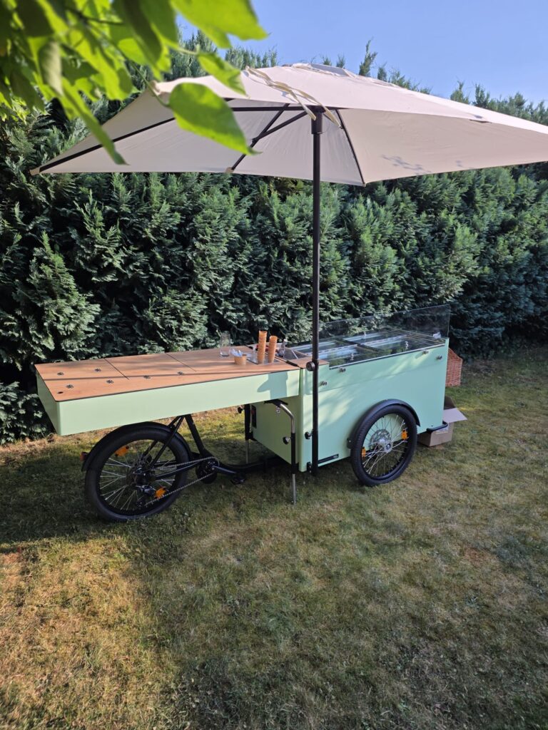 Auf dem Bild sieht du unser Eisbike auf einer Wiese stehen